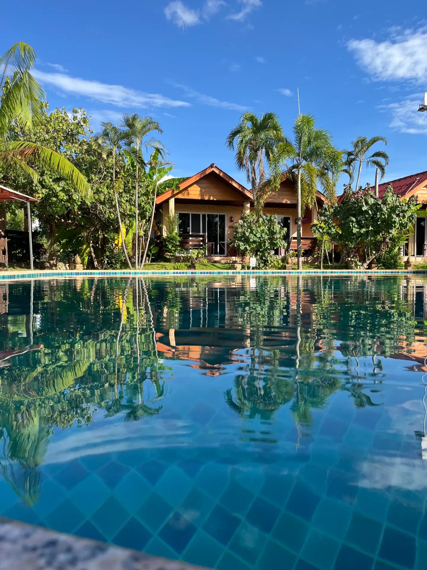 Pool and bungalows surrounded by palms at Green Oasis Resort, San Kamphaeng